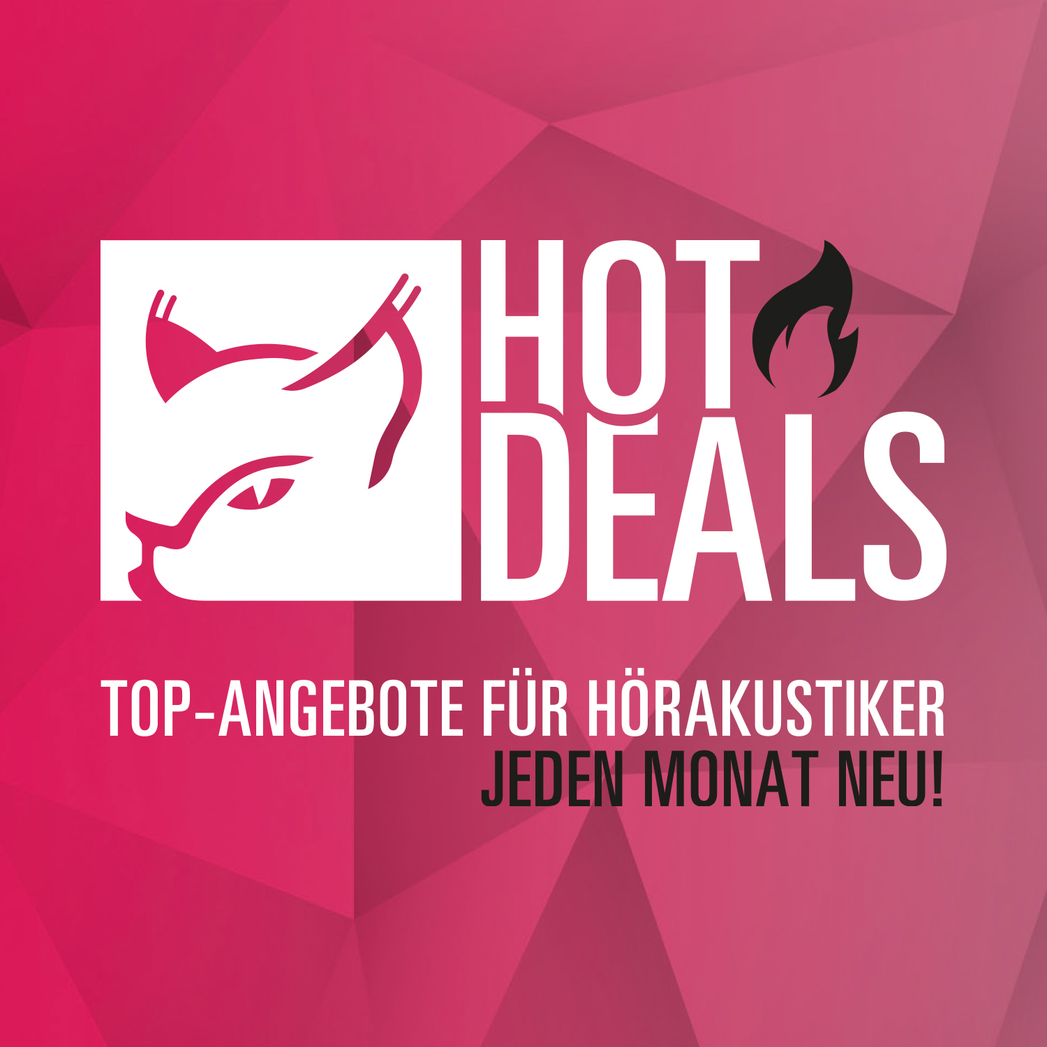 Hörluchs® Hot Deals