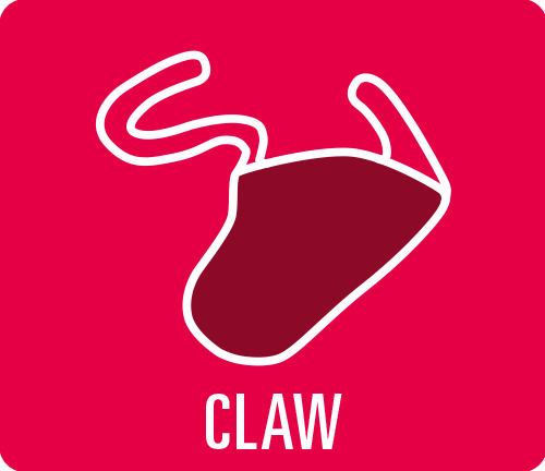 Earmould option type "Claw"