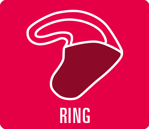 Earmould option "Ring"
