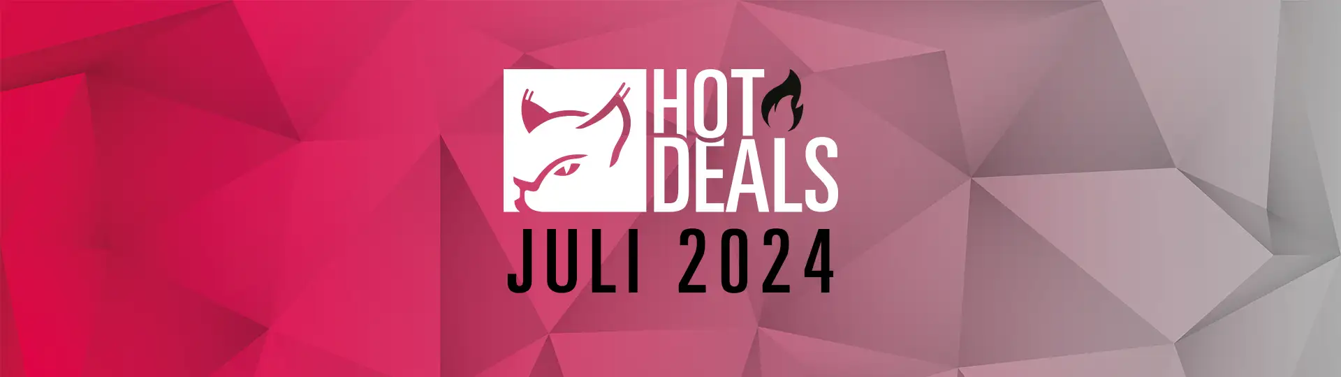 Hot Deals Juli 2024 Banner