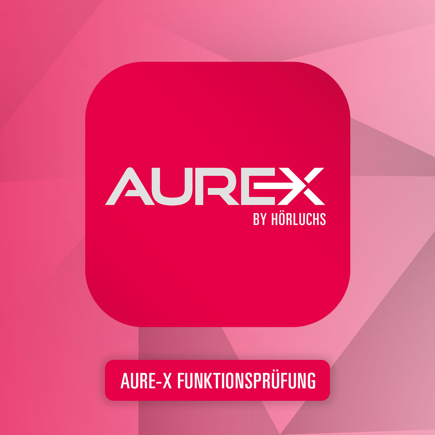 AuRe-X Funktionsprüfung